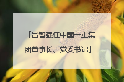 吕智强任中国一重集团董事长、党委书记